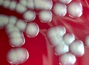 Laboratoře Mikrochem a.s. Laboratoře Mikrochem a.s.